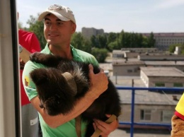 Медвежонок из зоопарка приехал к детям в барнаульской больнице