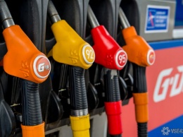 Росстат зафиксировал снижение потребительских цен на бензин в 55 регионах России