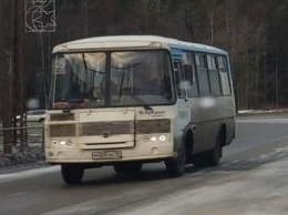 Автобусы Петрозаводска возобновляют работу с 28 мая