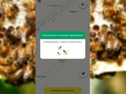 Приложение для алтайских пчеловодов запустят 1 июня