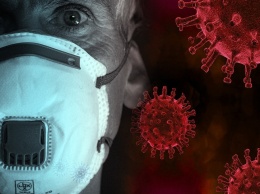 В Кремле считают данные о высокой смертности медиков от коронавируса недостоверными