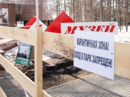В Свердловской области начали разрабатывать программу общественного здоровья
