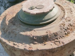 Житель алтайского села нашел противотанковую мину