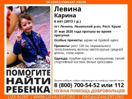 "Пропала, пока отец рыбачил и выпивал": в Крыму ищут 6-летнюю девочку, - ФОТО
