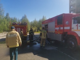 Огонь уничтожил крышу дома-кухни петрозаводского приюта: зоозащитники просят о помощи