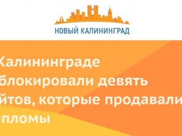 В Калининграде заблокировали девять сайтов, которые продавали дипломы