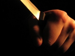 Два трупа с ножевыми ранениями нашли в Камне-на-Оби