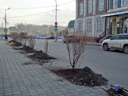 На Алтае занялись «снежным» озеленением накануне приезда Дмитрия Медведева