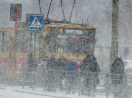 Как Барнаул встречает первый снегопад. Фотопрогулка