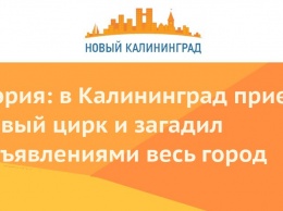 Мэрия: в Калининград приехал новый цирк и загадил объявлениями весь город