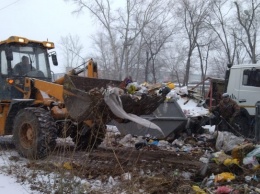 Дмитрий Медведев поручил решить проблему с мусором в Бийске