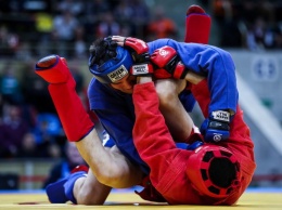 Белгородские спортсмены стали чемпионами мира по боевому самбо