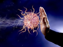 Секрет долгожителей скрыт в иммунной системе, заявили ученые