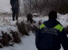 В Югре спасатели и волонтеры ищут мужчину, который ушел из дома и не вернулся