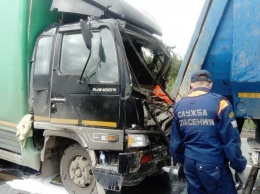 В Николо-Павловске при столкновении двух грузовых машин пострадал один человек