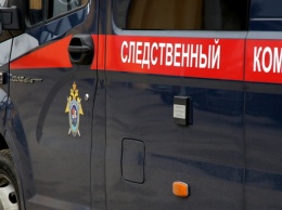 В Екатеринбурге СК возбудил уголовное дело по факту истязания ребенка опекуном