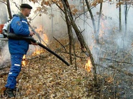 В Сковородинском районе тушат два природных пожара