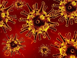 Российский врач рассказала о связи летней погоды и сроках второй волны коронавируса