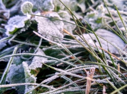 В Свердловской области в конце недели ожидаются заморозки