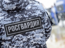 Песков прокомментировал дело убитого бойцами СОБРа из-за обоев екатеринбуржца