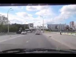 Автомобилист задавил насмерть маму-утку в Кемерове