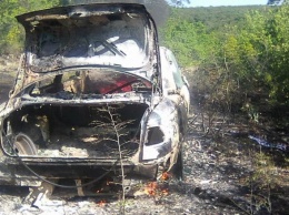 Лесной пожар произошел в Крыму из-за загоревшегося автомобиля, - ФОТО
