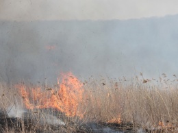 Свердловчан предупредили о высокой пожароопасности в выходные