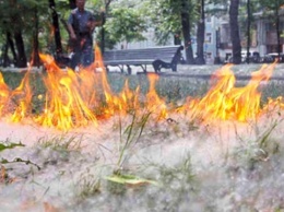Тагильчан предупредили о пожароопасном периоде из-за тополиного пуха