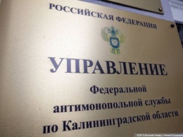 УФАС потребовало отменить итоги аукциона по продаже участка в парке Зеленоградска