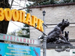 Калининградский зоопарк открывается для посетителей 17 июня