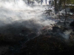 Из-за удара молнии в Крыму вспыхнул лесной пожар, - ФОТО