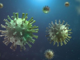 Найденный в Пекине коронавирус оказался старше европейских штаммов