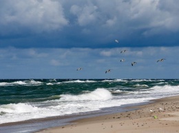 Алиханов в Instagram поручил главе Балтийска сделать больше пляжей
