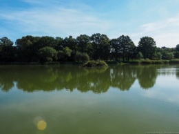 Силанов: чистку городских озер мешал начать запрет из-за гнездования птиц
