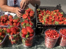 В Барнауле цены на ягоды бьют все рекорды