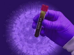 Почти 9 миллионов человек в мире оказались инфицированы коронавирусом