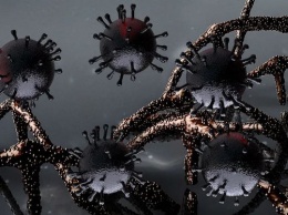 Ученые из США: "зловещие щупальца" ускоряют распространение коронавируса по организму