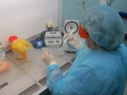 Больницы и поликлиники Карелии внедряют метод диагностики коронавируса по крови