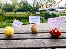 В Белгороде даже овощи протестуют против поправок в Конституцию