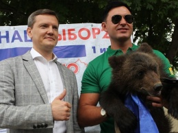 Настоящего медвежонка увидели избиратели на участке в Барнауле