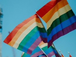 Власти Черногории одобрили закон об однополых браках