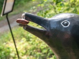 Вандалы изуродовали скульптуру пингвина в Свободном