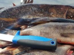 В Карелии снова можно рыбачить на спиннинг и сети. А глупое правило 10 метров лески отменят?