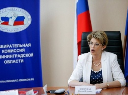 Избирательная комиссия Калининградской области отменила закупку машины за 1,7 млн
