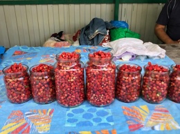 Барнаульцы повысили цены на ягоду
