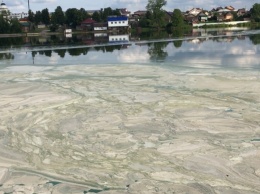 Поверхность Староуткинского пруда заволокло пеной и позеленела вода