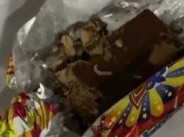 Шоколадные конфеты с червями продали девушке в Благовещенске