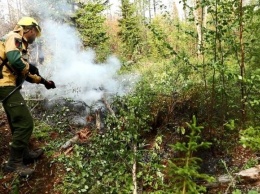 В Югре введен особый противопожарный режим