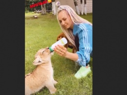 Муж подарил гимнастке Дарье Спиридоновой живого львенка