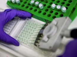 В Приамурье открываются новые лаборатории для проведения тестов на коронавирус